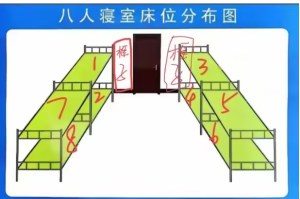 床位分布